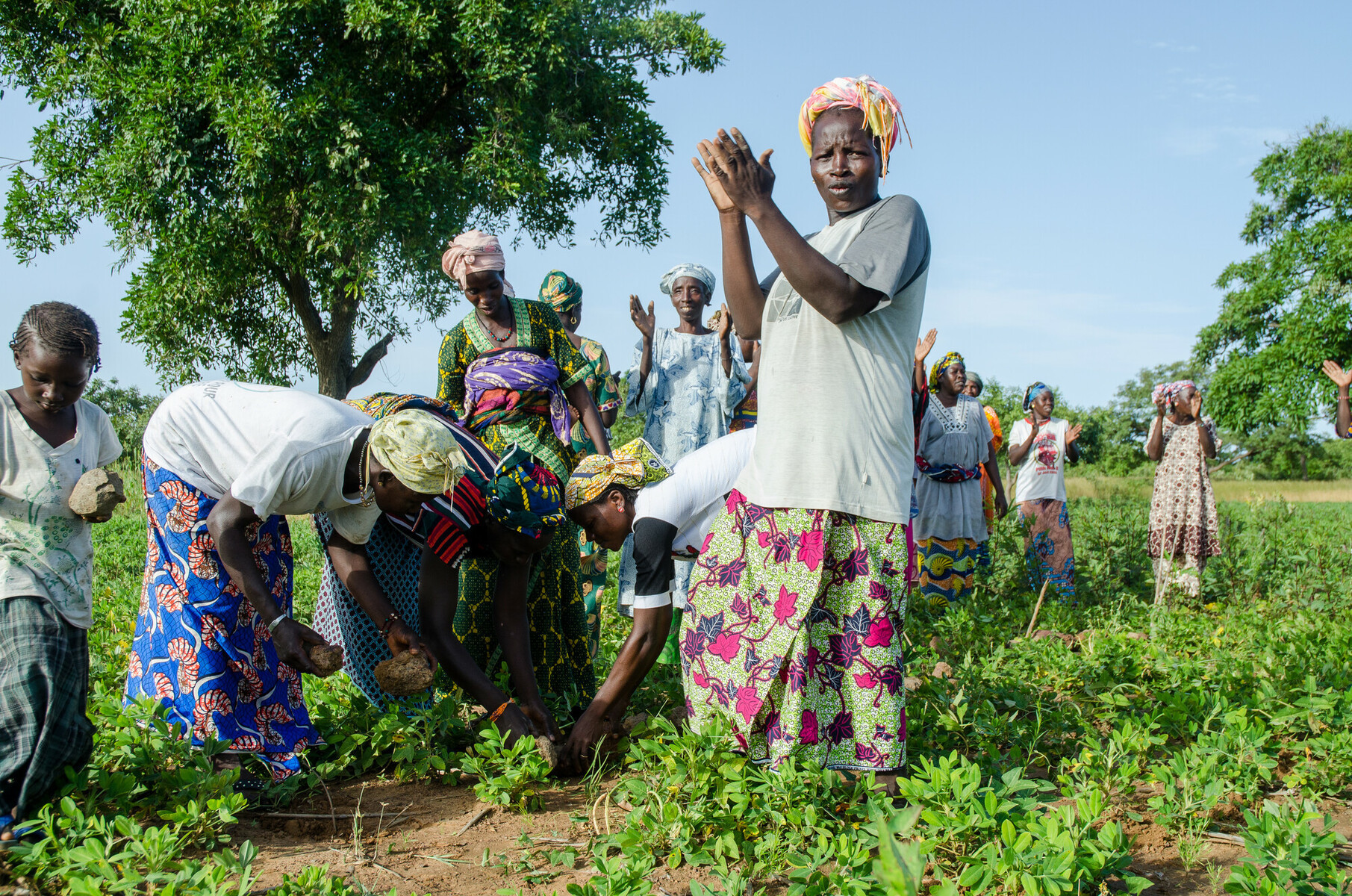 sustainable-living-environments-for-african-women-and-child